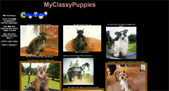 Desktop Screenshot of myclassypuppies.com